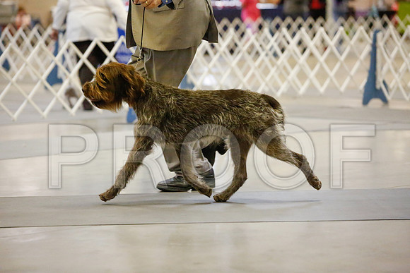_JJ_7044-AmarilloSept2014-HR3
