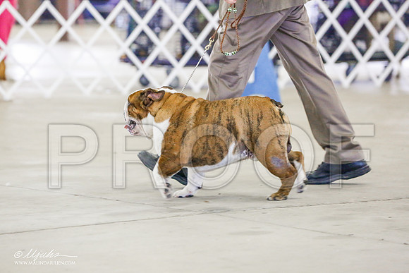 _RH_9541-AlamogordoOct2014-HR3