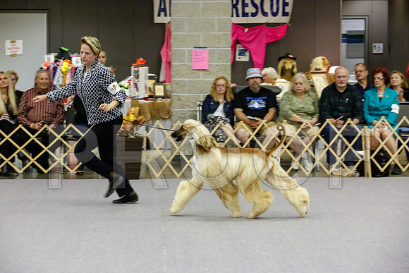 _JJ_0010-AfgBeltonOct2014-HR3