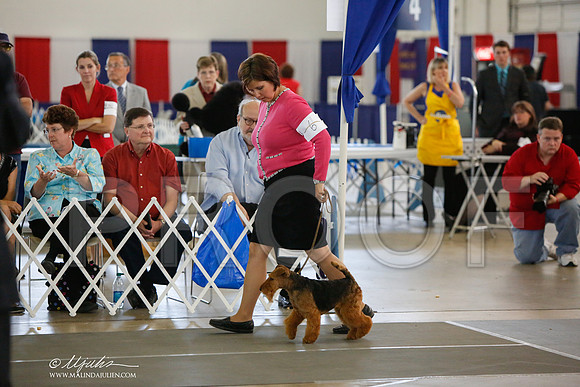 _JJ_2225-DallasJul2014-HR3