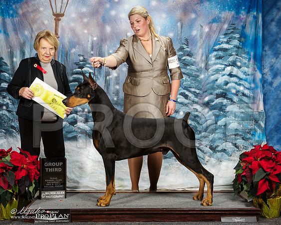 _ST_8927-DallasDec2014-HR3