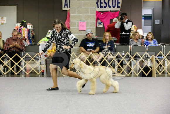 _JJ_8583-AfgBeltonOct2014-HR3