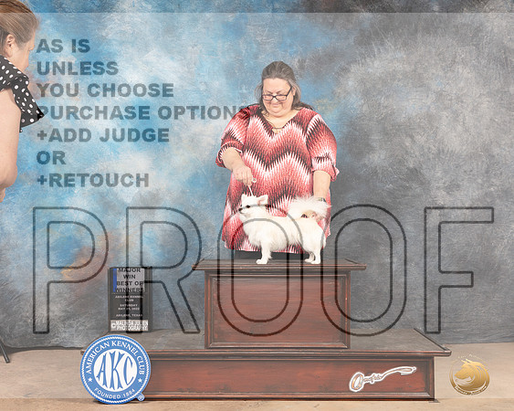 Chihuahua Long Caot #5 Sat BOW Judge Peggy McIllwaine r-MMJ_4481-Abilene2022-HR3