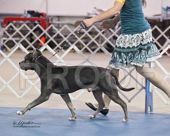 APBT-9654