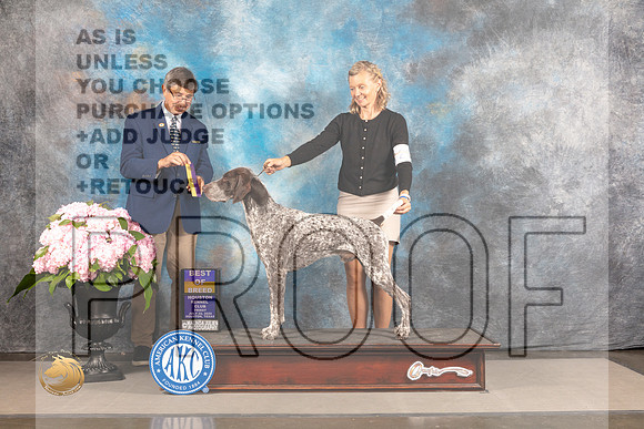 German Shorthaired Pointer #29 FRI BOB Judge Richard Powell_MJ_6039_Houston_2022_HR3