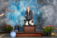 Havanese #6 Sat BOSGCH Judge Christine Martinez