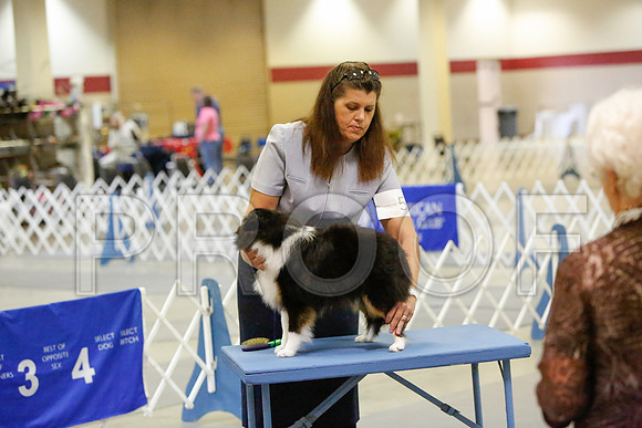 _JN_4334-AmarilloSept2014-HR3