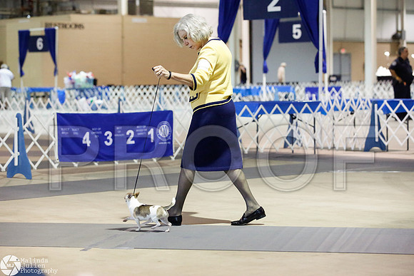 _JJ_2735-SanAntonioJul2014-HR