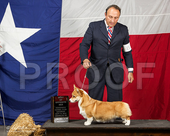 _ST_1728-AmarilloSep2014-HR3