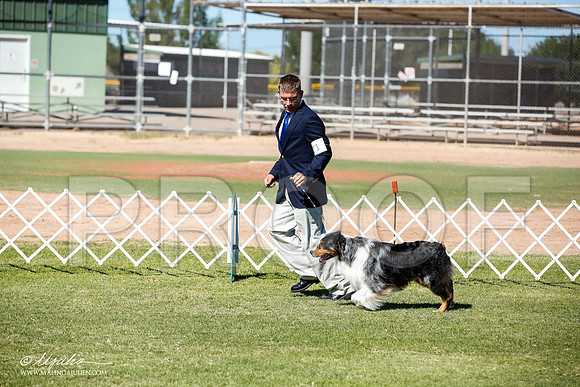 _JN_8634-AlamogordoOct2014-HR3