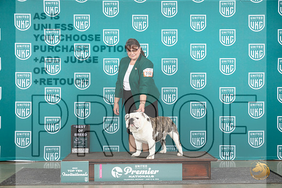 English Bulldog #302 Thurs T10BOB Judge Sharon Griffin__JP_0780_Premier_2024_HR3