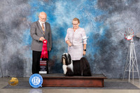 Tibetan Terrier #7 Fri G2 Judge Gary Andersen