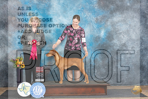 Vizsla #8 Sun G2 Judge Vicki Abbott__JP_0030_Abilene_2024_HR3