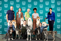 Japanese Akitainu Wed Group