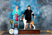 Harrier #5 Fri G2 Judge Sharol Candace Way