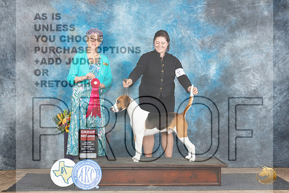 Harrier #5 Fri G2 Judge Sharol Candace Way__JP_9397_Abilene_2024_HR3