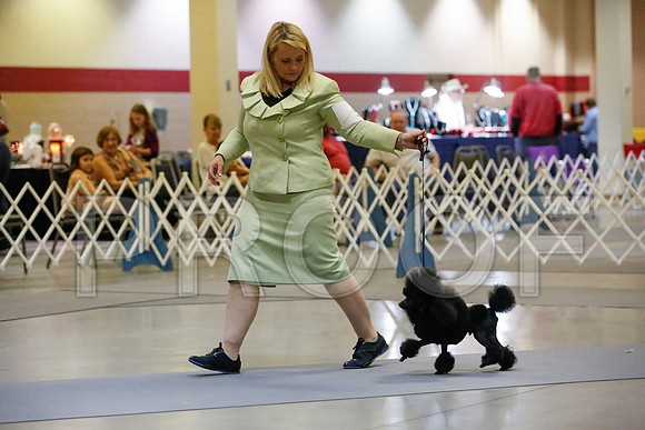 _JJ_1388-AmarilloSept2014-HR3
