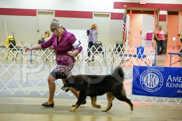 _JJ_9720-AmarilloSept2014-HR3