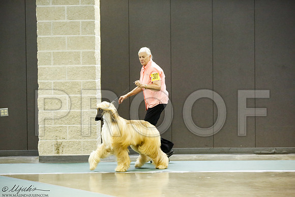 _J3L8876-BeltSep2014-HR