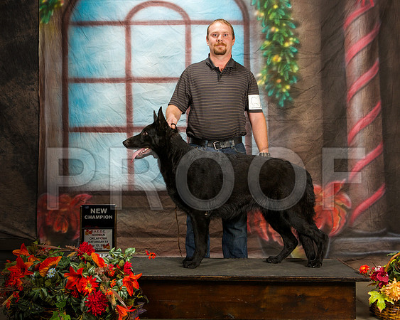 _ST_7067-NrmnNov2014-HR3