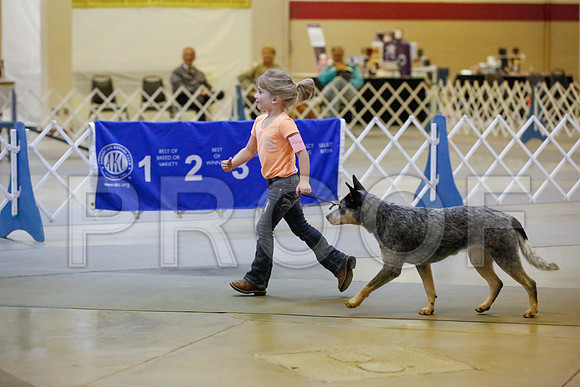 _JN_8923-AmarilloSept2014-HR3