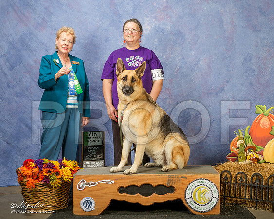 _CL_4624-SanAngelo2014-HR3
