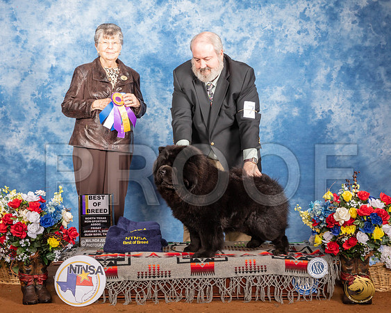 Chow #7 Fri BOB Judge Doris Cozart__SR_7486_GlnRse2020-HR3