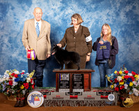 Schipperke #9 Fri BOB OHBOB Judge Ralph J (Sonny) Ambrosio