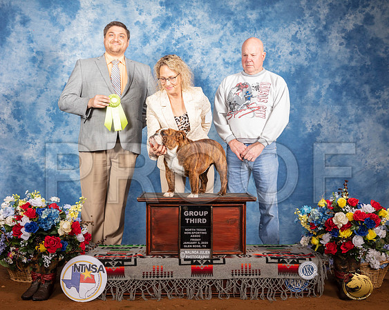 Bulldog #14 Fri G3 Judge Thomas Katzenstein__SR_7508_GlnRse2020-HR3