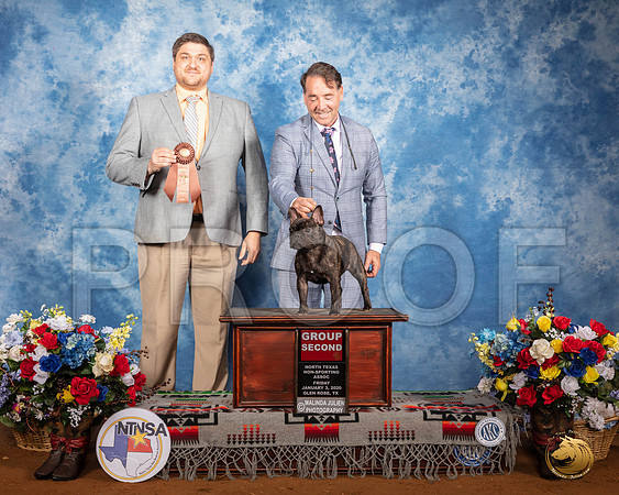 French Bulldog #17 Fri G2 Judge Thomas Katzenstein__SR_7500_GlnRse2020-HR3