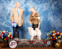 American Eskimo #5 Fri WD BOW Judge Ralph J (Sonny) Ambrosio