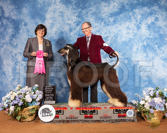 Afghan Hound #7 Sat G1 Judge Danelle Brown__SR_8022_GlnRse2020-HR3