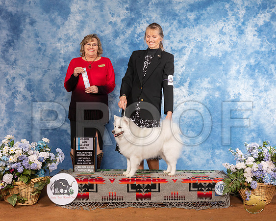 Amercian Eskimo #10 Sat SB Maj Judge Debbie Mitchell__SR_7762_GlnRse2020-HR3