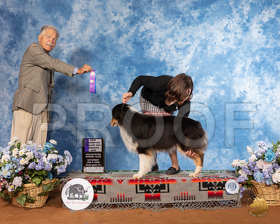 Australian Shepherd #47 Sat WD Maj NCh Judge Randall Sheets__SR_7711_GlnRse2020-HR3