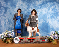 Brittany #11 Sat G1 Judge Danelle Brown