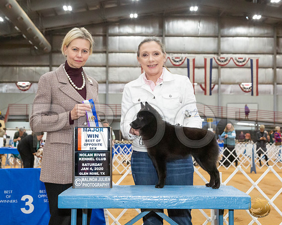 Schipperke #20 Sat WB BOS Maj Judge Patricia Sosa__JJ_8480_GlnRse2020-HR3