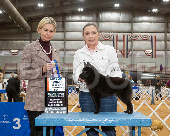 Schipperke #20 Sat WB BOS Maj Judge Patricia Sosa__JJ_8481_GlnRse2020-HR3