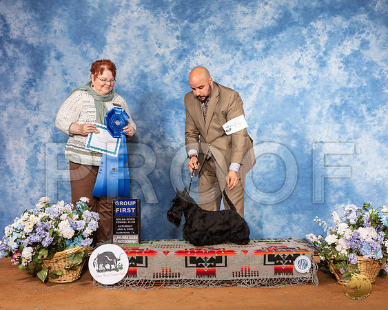 Scottish Terrier #8 Sat G1 Judge Melinda L Lyon__SR_8014_GlnRse2020-HR3