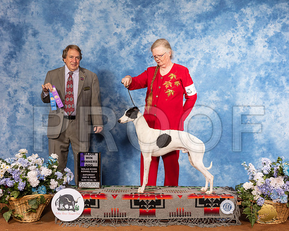 Whippet #23 Sat WD Maj Judge Nathaniel Horn__SR_7859_GlnRse2020-HR3