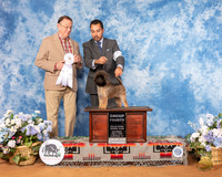 Affenpinscher #7 Sat G4  Judge Robin Stansell