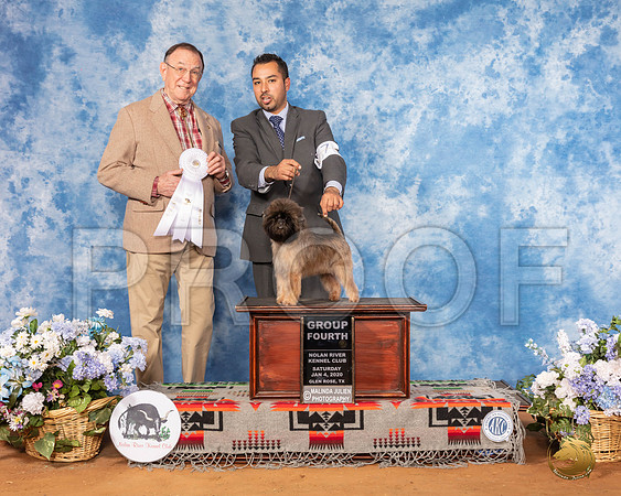 Affenpinscher #7 Sat G4  Judge Robin Stansell__SR_8081_GlnRse2020-HR3