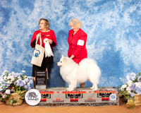 American Eskimo #7 Sat G4 Judge Debbie Mitchell