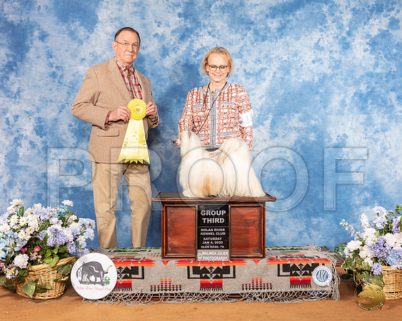 Chinese Crested #12 Sat G3 Judge Robin Stansell__SR_8070_GlnRse2020-HR3