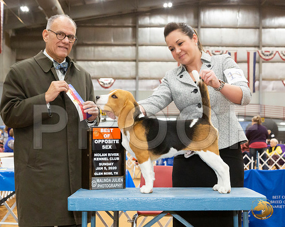 Beagle 15 #19 Sun BOS Judge Luis Sosa_JJL_9347_GlnRse2020-HR3
