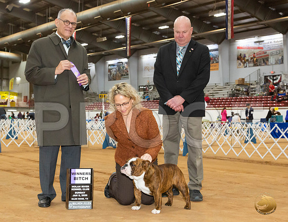 Bulldog #14 Sun WB Judge Luis Sosa_JJL_9341_GlnRse2020-HR3