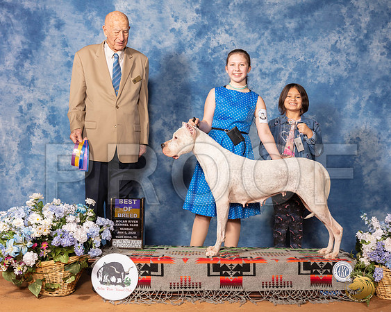 Dogo #6 Sun BOB Judge Ralph J (Sonny) Ambrosio__SR_8358_GlnRse2020-HR3