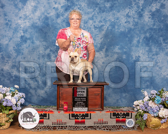 French Bulldog #15 Sun OpnD2nd__SR_8162_GlnRse2020-HR3