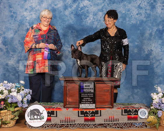 French Bulldog #52 Sun WB Maj Judge Cindy Stansell__SR_8216_GlnRse2020-HR3