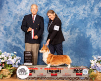 Pembroke Welsh Corgi #28 Sun BOS Maj NGrCh Judge Randall Sheets