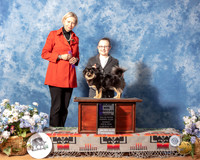 Tibetan Spaniel #26 Sun WB Maj Judge Patricia Sosa